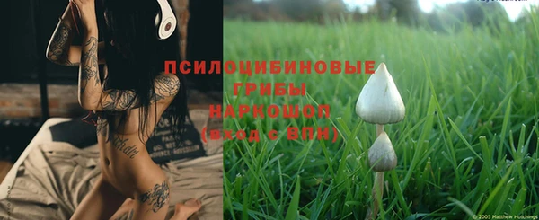 дурь Медногорск