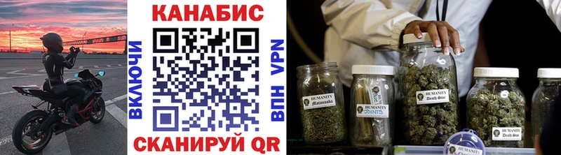 Канабис сатива  где найти   Суворов 